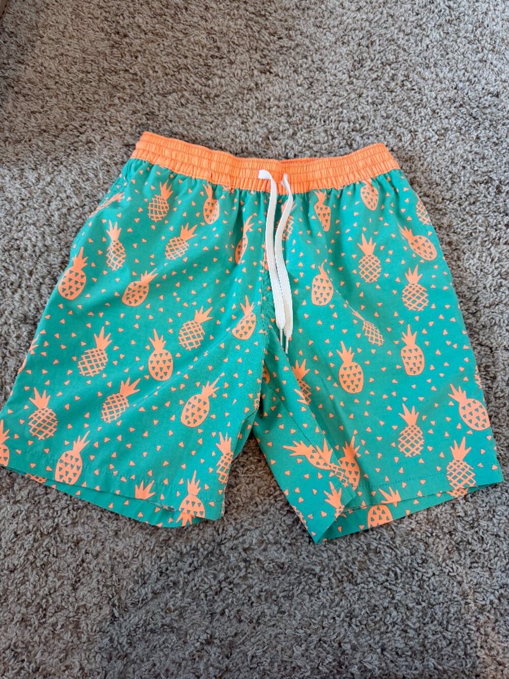 Chubbies Swim Trunks
